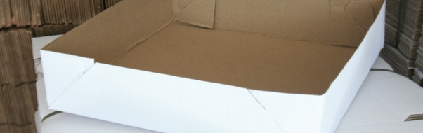 Caixa Papelão p/ Salgadinho e Docinho